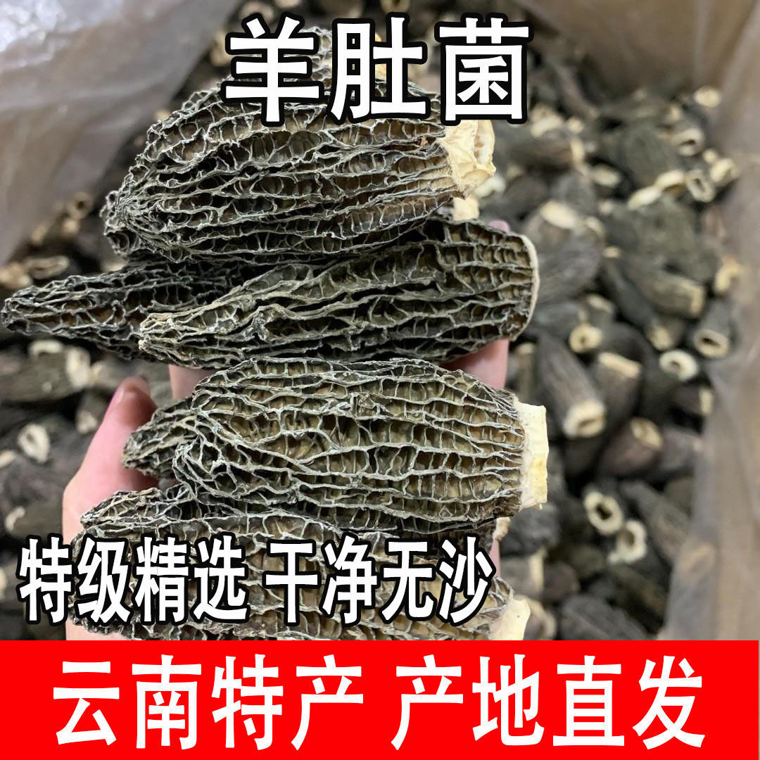 云南羊肚菌干货特产特级500g香格