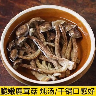 鹿茸菇干货500g包邮 特级优质鹿茸菌无硫新鲜土特产煲汤精选食材