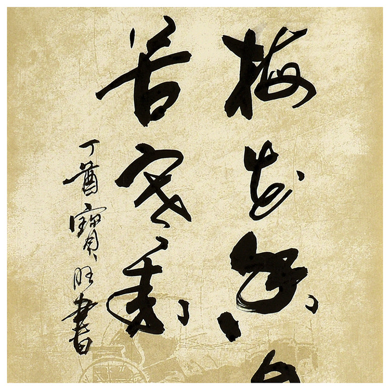 戴宝旺《梅花香自苦寒来》书法家