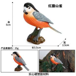 仿真飞禽鸟类动物模型玩具翠鸟喜鹊蓝鹩莺红腹山雀乌鸦和平信鸽子