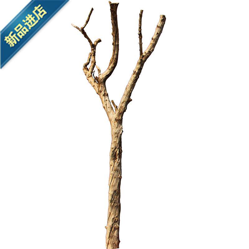 树枝石榴干花树干果树客厅装饰造型枯树枝干干花