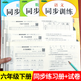 六年级下册试卷测试卷全套语文数学英语同步练习册期末冲刺100分小学6下人教版语数英思维训练题教辅资料真题卷黄冈单元卷子练习题