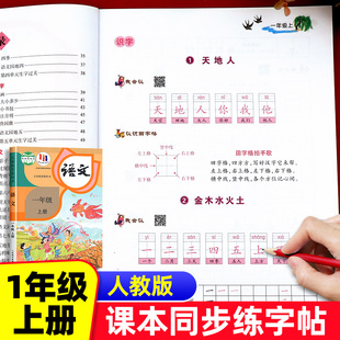 【老师推荐】一年级上册练字帖h人教版小学一年级生字练字帖语文同步字帖每日一练带笔画笔顺描红1年级练字字帖写字练习本硬笔书法