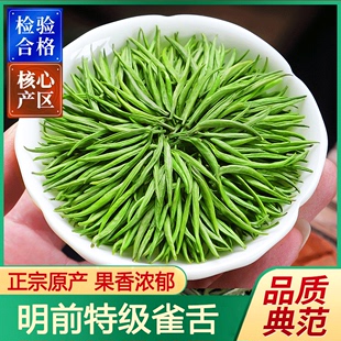 头采雀舌茶叶2024新茶明前特级浓香型湄潭翠芽春茶毛尖茶袋装绿茶