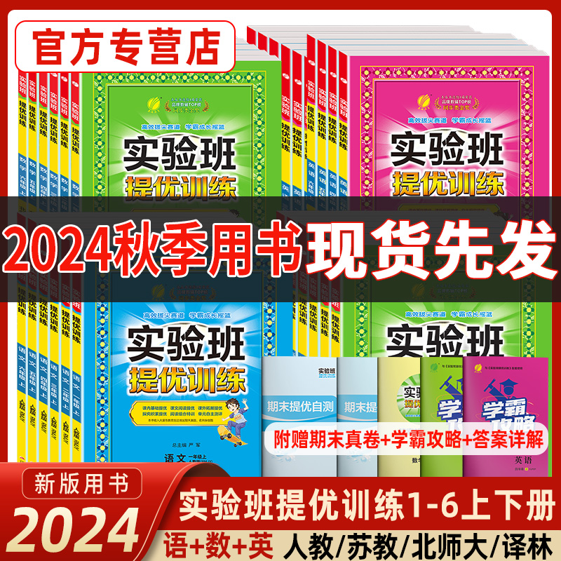 2024版实验班提优训练语文数学英