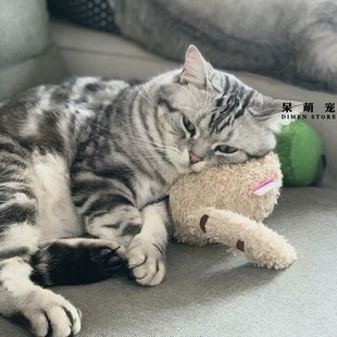 呆萌宠 猫狗的小枕头 日本多格漫猫咪颈枕靠枕睡垫枕成幼猫咪玩具