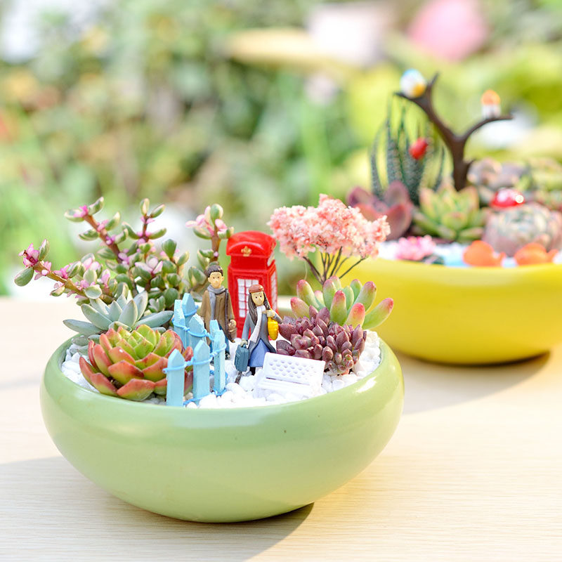 一折多肉植物组合盆栽diy微景观