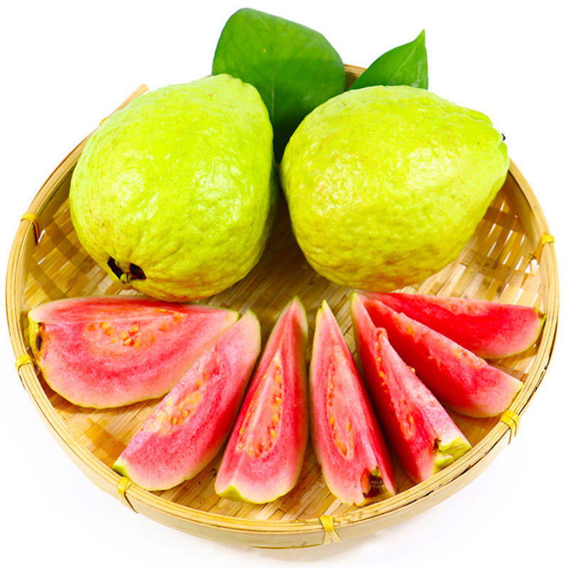 新安水果西瓜芭乐番石榴广东化州名优特产红心应季新鲜现摘