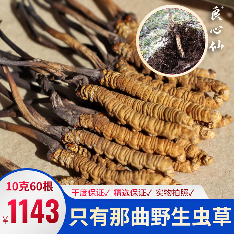 良心仙三级冬虫夏草10克60根西藏那曲野生虫草3000条6根克比如