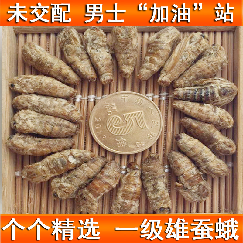 药中材手工选装纯雄蚕蛾公男补性晚蛾子未交配交尾可泡酒原蚕蛾粉