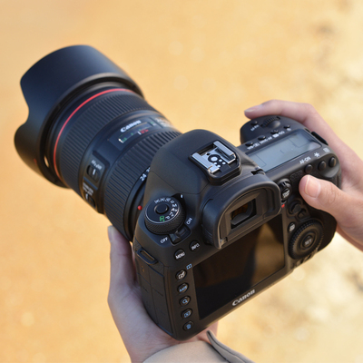 canon/佳能 eos 5d mark iv 蚂蚁摄影全画幅单反数码相机5d4单机