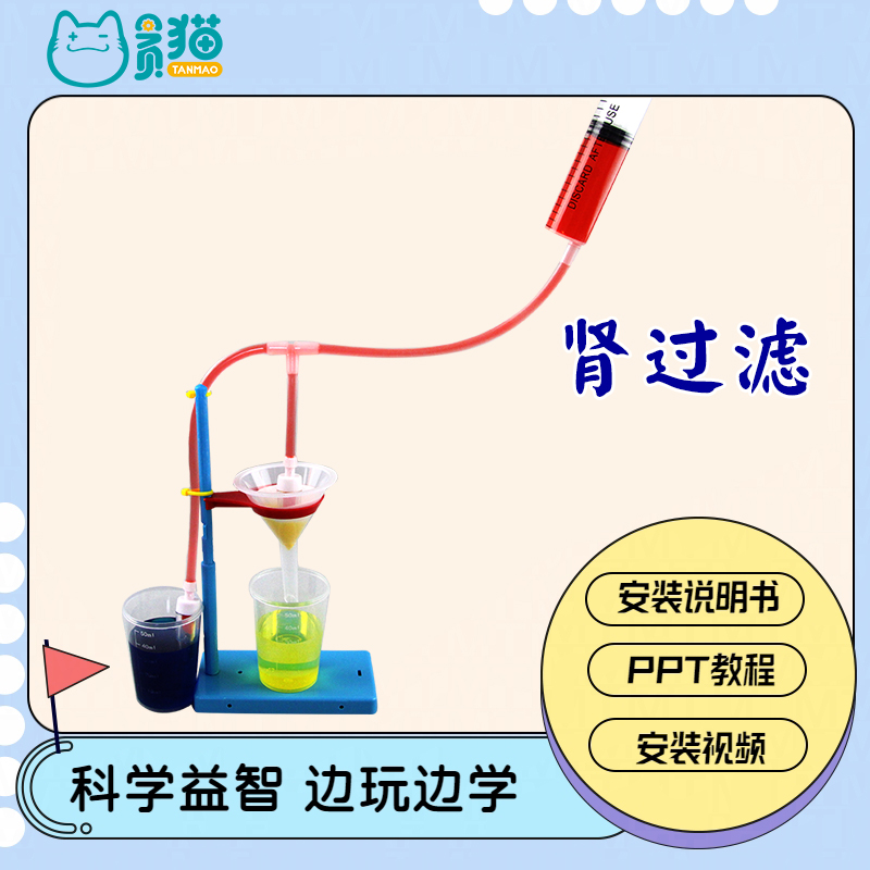 肾过滤肾单位模型制作材料包DIY手