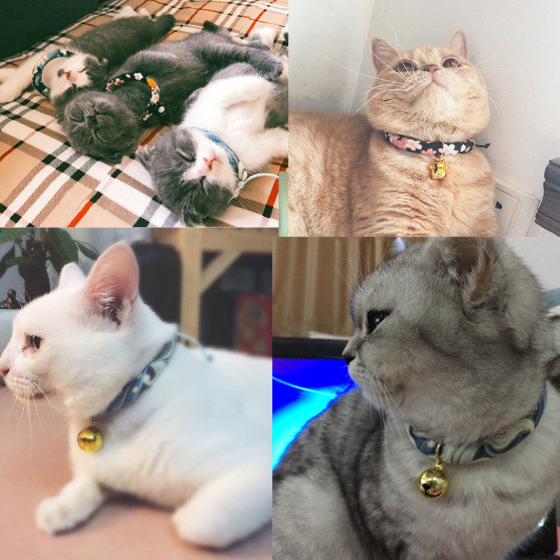 一折项圈猫 英短_猫项圈铃铛和风猫圈猫颈圈猫脖圈英短美短加菲猫铃铛