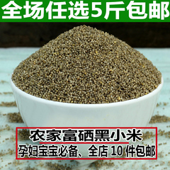 黑小米 农家自产 富硒黑小米 养胃小米杂粮月子米月子小黑米 250g