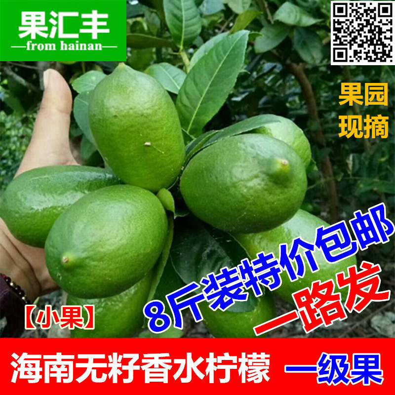 Hainan fresh Seedless Perfume lemon Level 8 Small fruit Tropical Season fruit Orchardin the Aquatic meat/Fresh fruits and vegetables/Cooked , Fresh fruit , Lemon category - from Buy2taobao.com to provide professional Taobao agent buy service
