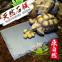 原生态陆龟箱 爬虫陆龟保湿造景石板食盘垫材天然岩板食盆磨指甲