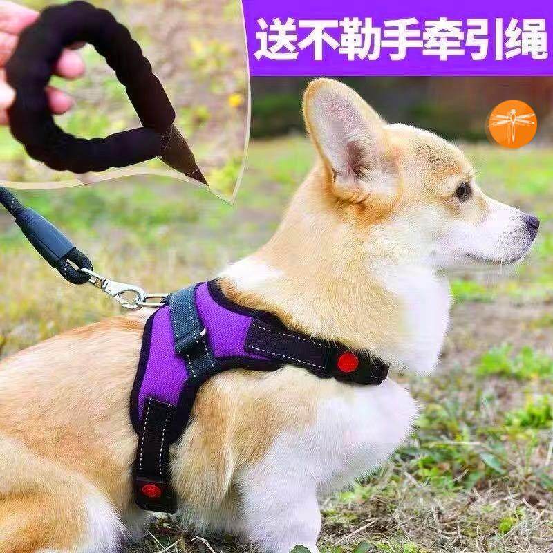 狗链子栓狗用狗狗套脖子牵引绳柴犬背心式项圈可爱泰迪柯基胸背带