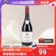 【自营】法国勃艮第大金杯大区黑皮诺干红原瓶100%pinot noir