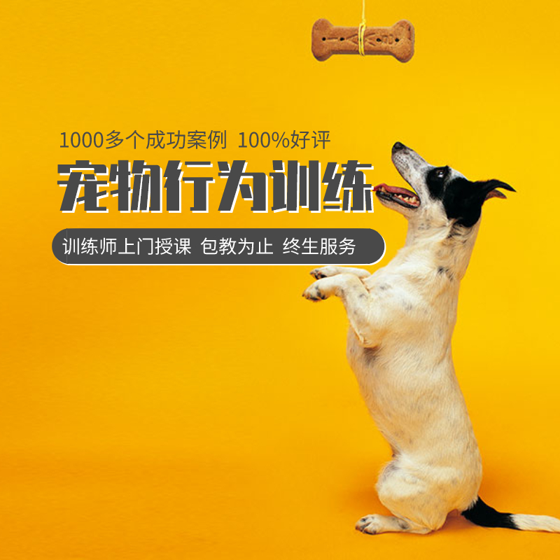 巨小萌训犬训狗师上门定点排便防狗叫边牧金毛柴犬柯基泰迪训练|ruв категории животное/Животное питание и принадлежностей, Пэт жизнь услуг, подготовки, Пэт - от Buy2taobao.com для оказания профессиональной услуги покупки агента Taobao