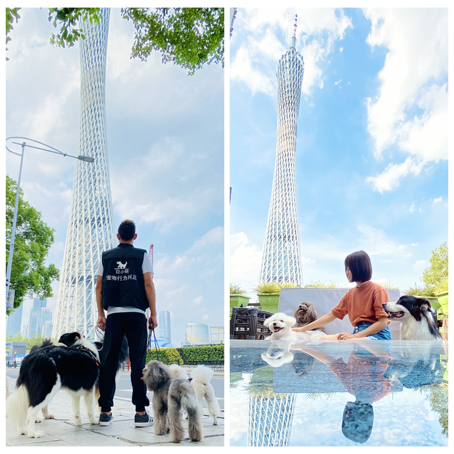 巨小萌宠物行为心理中心广州塔店寄养预约定金