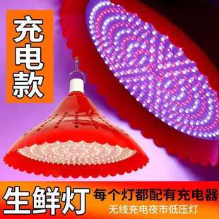 LED水果灯可充电款调色生鲜灯摆摊夜市专用熟食灯市场停电猪肉灯U