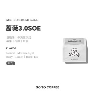 GOTOCOFFEE  埃塞俄比亚蔷薇SOE意式浓缩美式新鲜烘焙咖啡豆粉