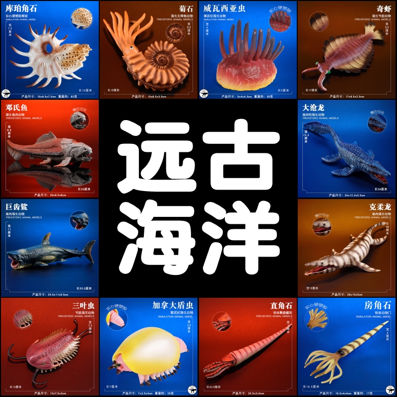 史前海洋生物模型儿童远古巨兽沧龙三叶虫房角石海底仿真动物玩具