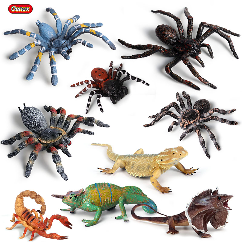 仿真动物模型玩具摆件塑胶实心蜘蛛恶搞整蛊吓人黑寡妇蜘蛛昆虫