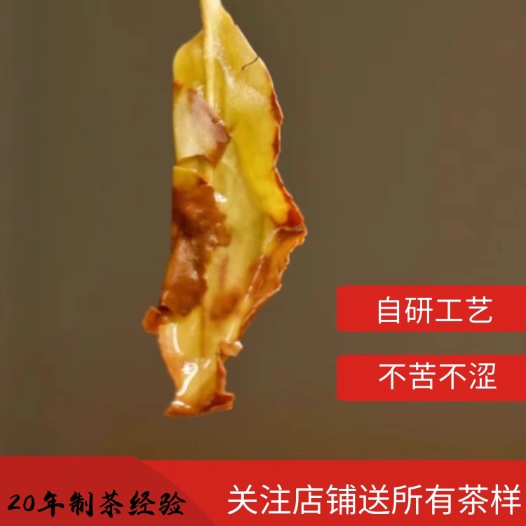 半斤装新茶坛功夫漳平水仙茶饼叶高山特级浓香型清香型乌龙春茶