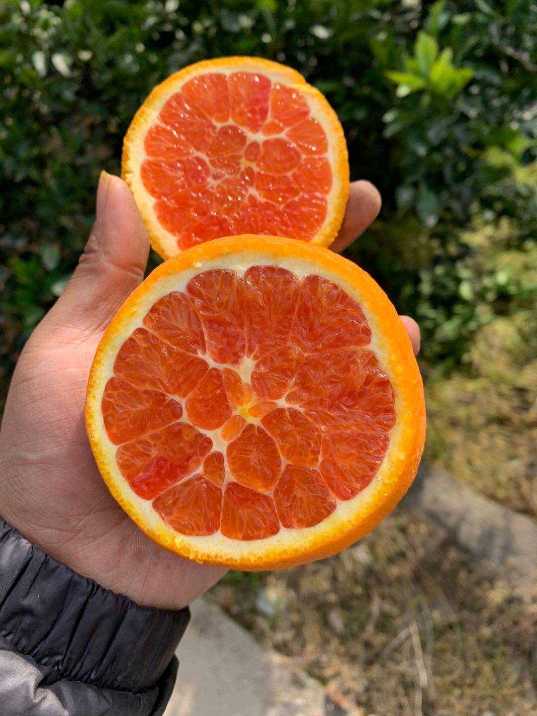 特价红橙子血橙新鲜水果 10斤