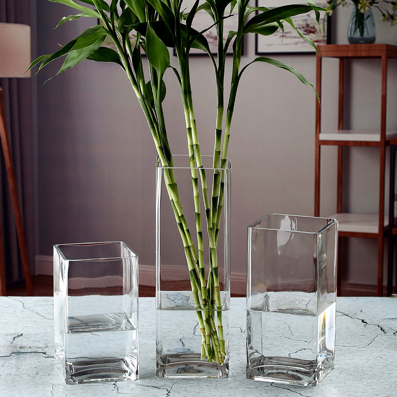轻奢简约富贵竹玻璃瓶透明方形特大水养鲜花瓶摆件现代客厅插花