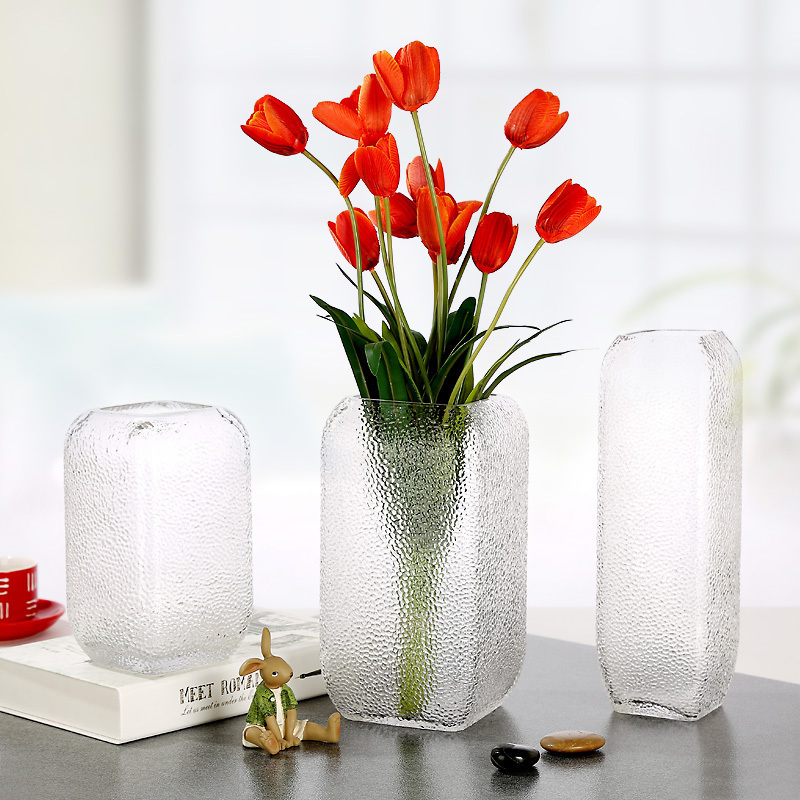 dibyna创意玻璃花瓶水培富贵竹百合干花容器花盆插花装饰摆件简约
