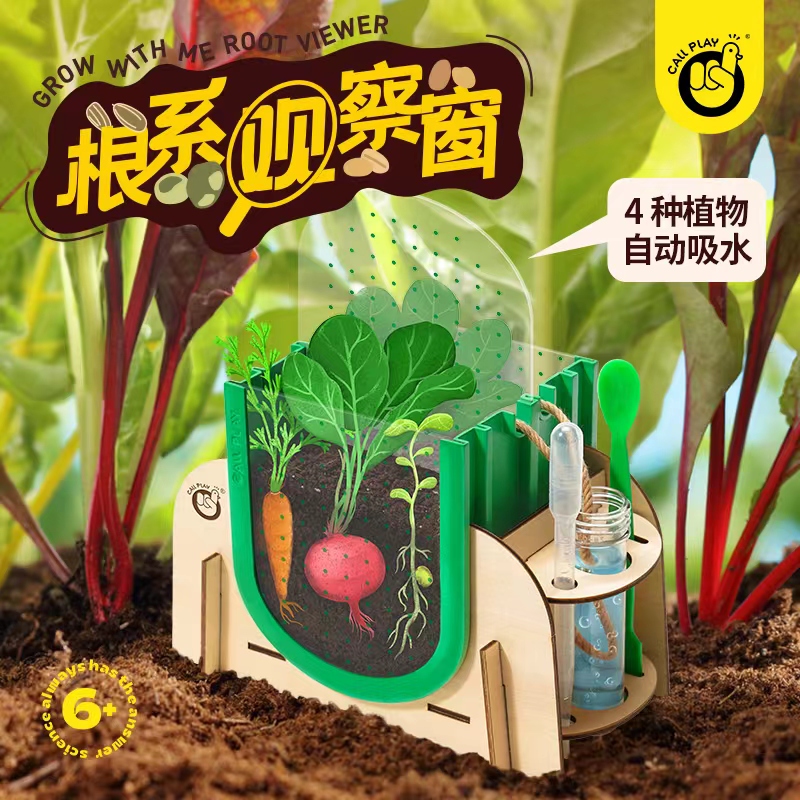 儿童植物根系观察窗种植盆栽种子幼儿园学种菜实验日记生长盒玩具