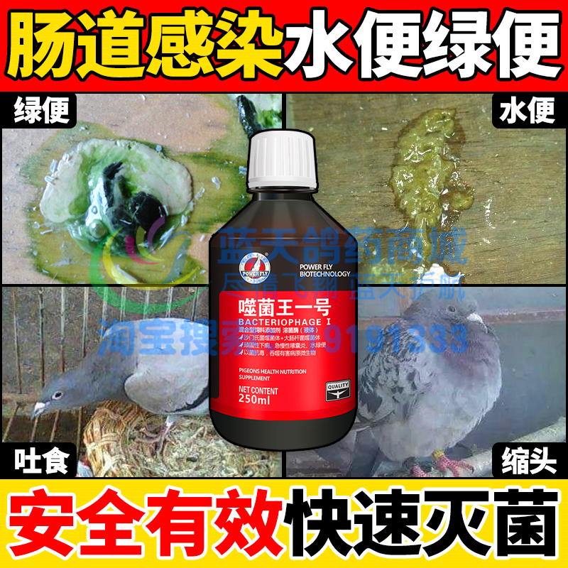 豪翔鸽药噬菌王一号活菌鸽用肠炎腹泻沙门氏吐食水绿便鸽子药大全