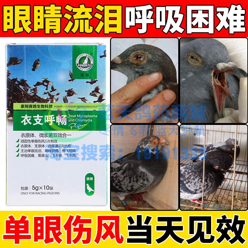 豪翔鸽药衣支呼畅单眼伤风流泪衣支原体微浆菌呼吸道感染信鸽子药
