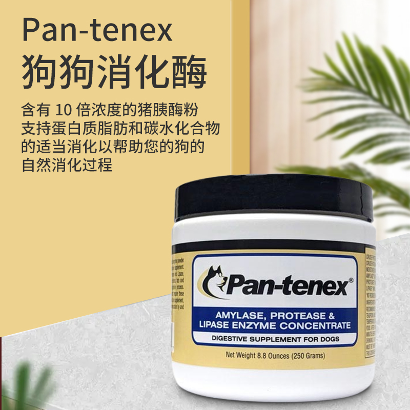 泛泰Pan tenex犬用急慢性胰腺炎预防促消化动物蛋白10倍猪胰酶粉