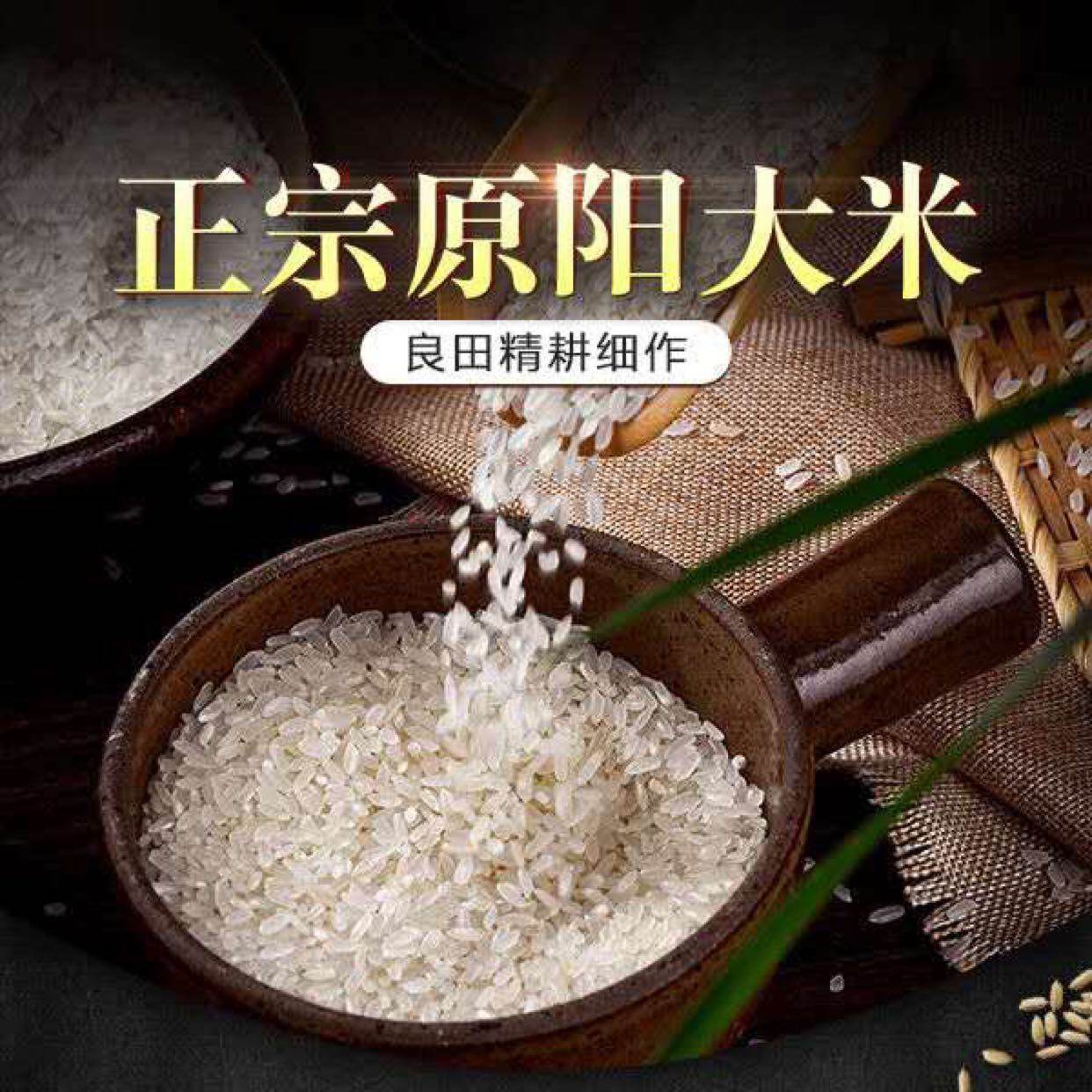 2021原阳大米黄金晴新米2.5kg包邮5斤粳米非东北米富硒软糯金八素