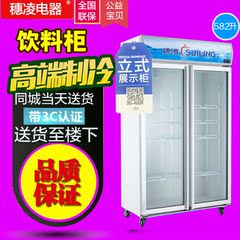 穗凌 LG4-582M2 冰柜商用立式展示柜冷饮柜冷柜水果保鲜柜冷藏柜