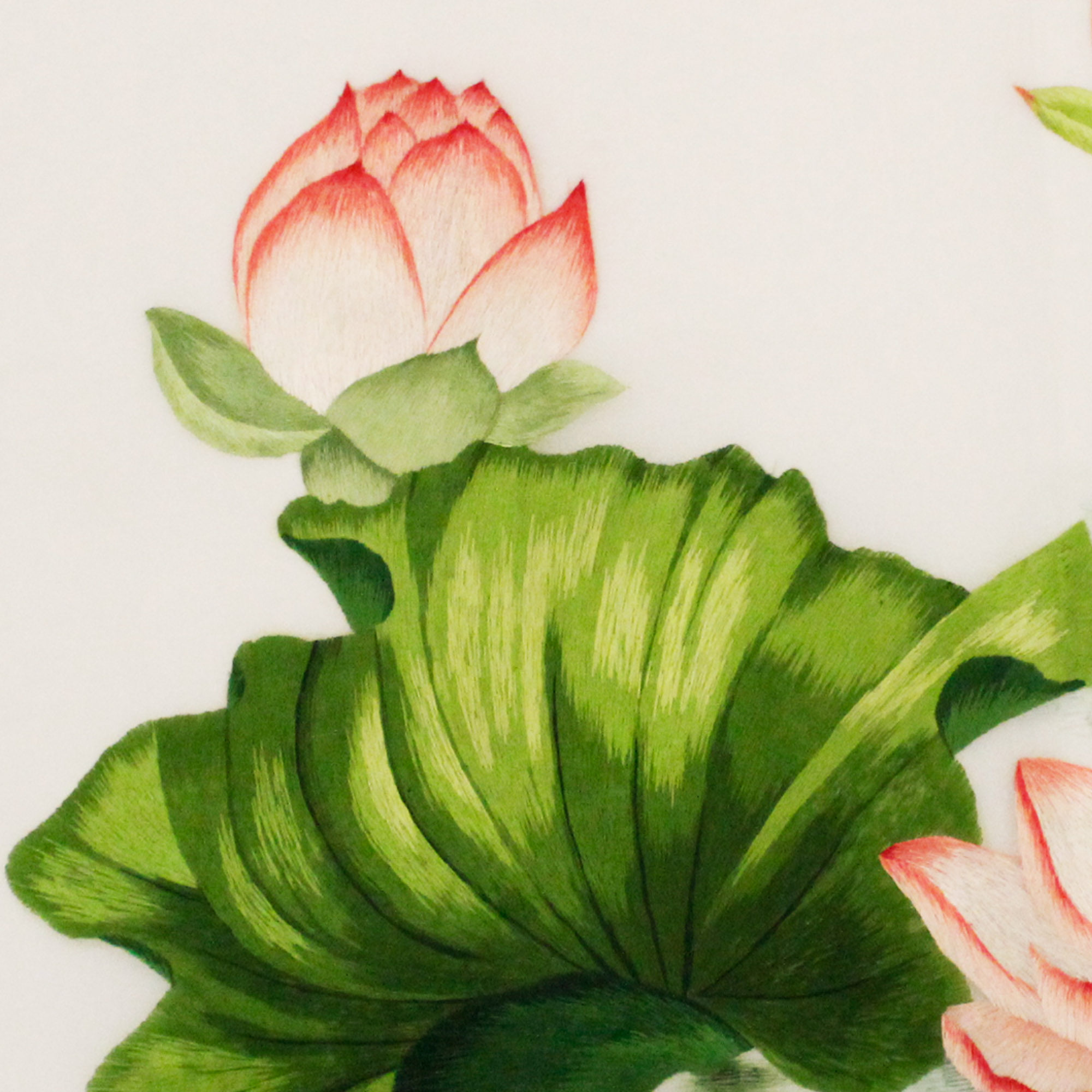 中国刺绣工艺大师 侯玲玲 汴绣清荷雅韵