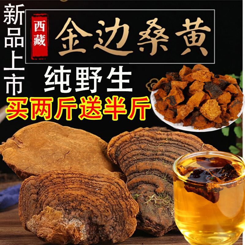 桑黄野生特级500g同仁堂西藏桑树纯野生金边桑黄茶菌种灵芝正品