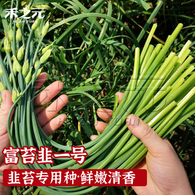 韭菜苔的功效与作用图片