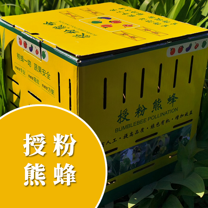 熊蜂 沃蜂 授粉熊峰 番茄授粉蜂 大棚草莓授粉 蓝莓授粉雄蜂 新品|ruв категории сельскохозяйственных материалов, 授粉蜂 - от Buy2taobao.com для оказания профессиональной услуги покупки агента Taobao