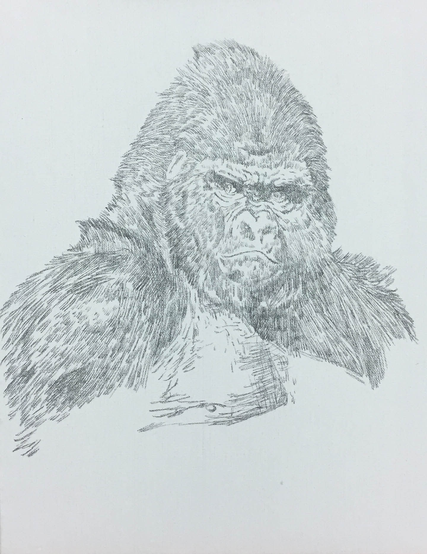 姚慧素描《大猩猩》配内框(有作画过程图)