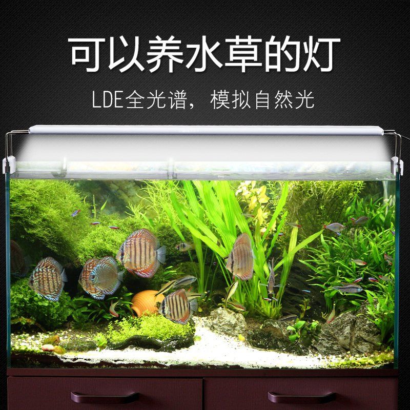 水草灯led全光谱小型鱼缸灯草缸灯水族箱led灯照明灯鱼缸led夹灯