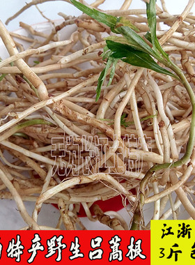 安徽特产野生吕蒿根藜蒿根泥蒿根芦蒿根 新鲜时苓蔬菜3件包邮