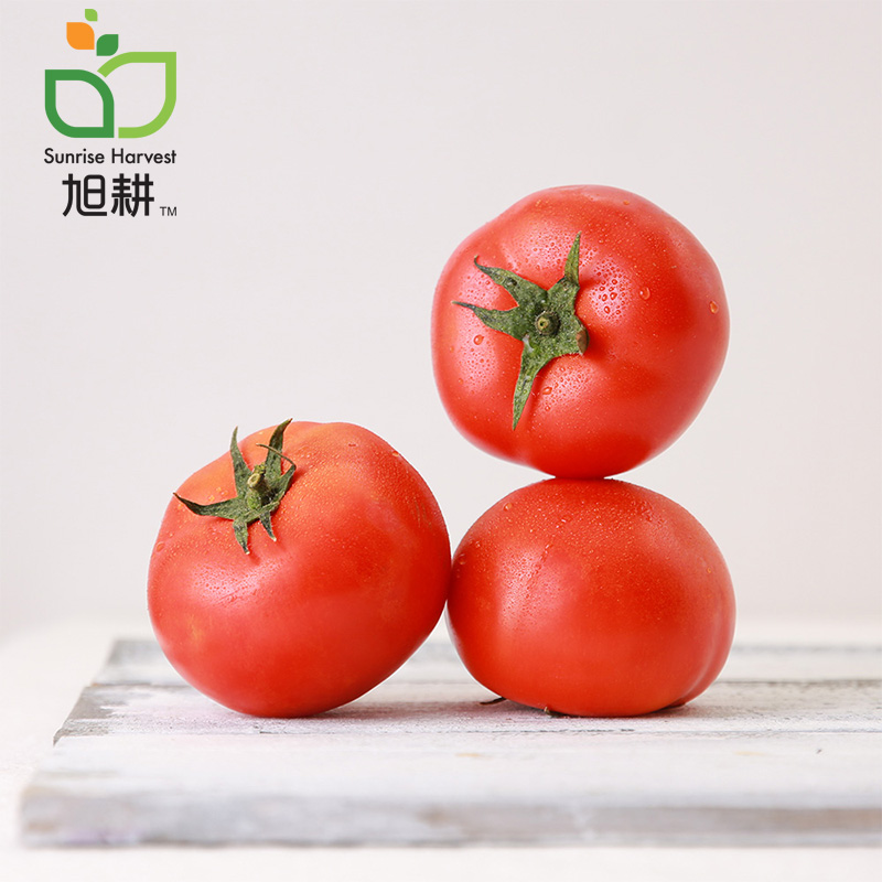 旭耕 有機大番茄5斤裝大西紅柿沙瓤酸甜新鮮蔬菜産地直發順豐包郵在類目 水產肉類/新鮮蔬果/熟食, 新鮮蔬菜/蔬菜製品, 新鮮蔬菜, 番茄中 - 來自Buy2taobao.com提供專業的淘寶代購服務