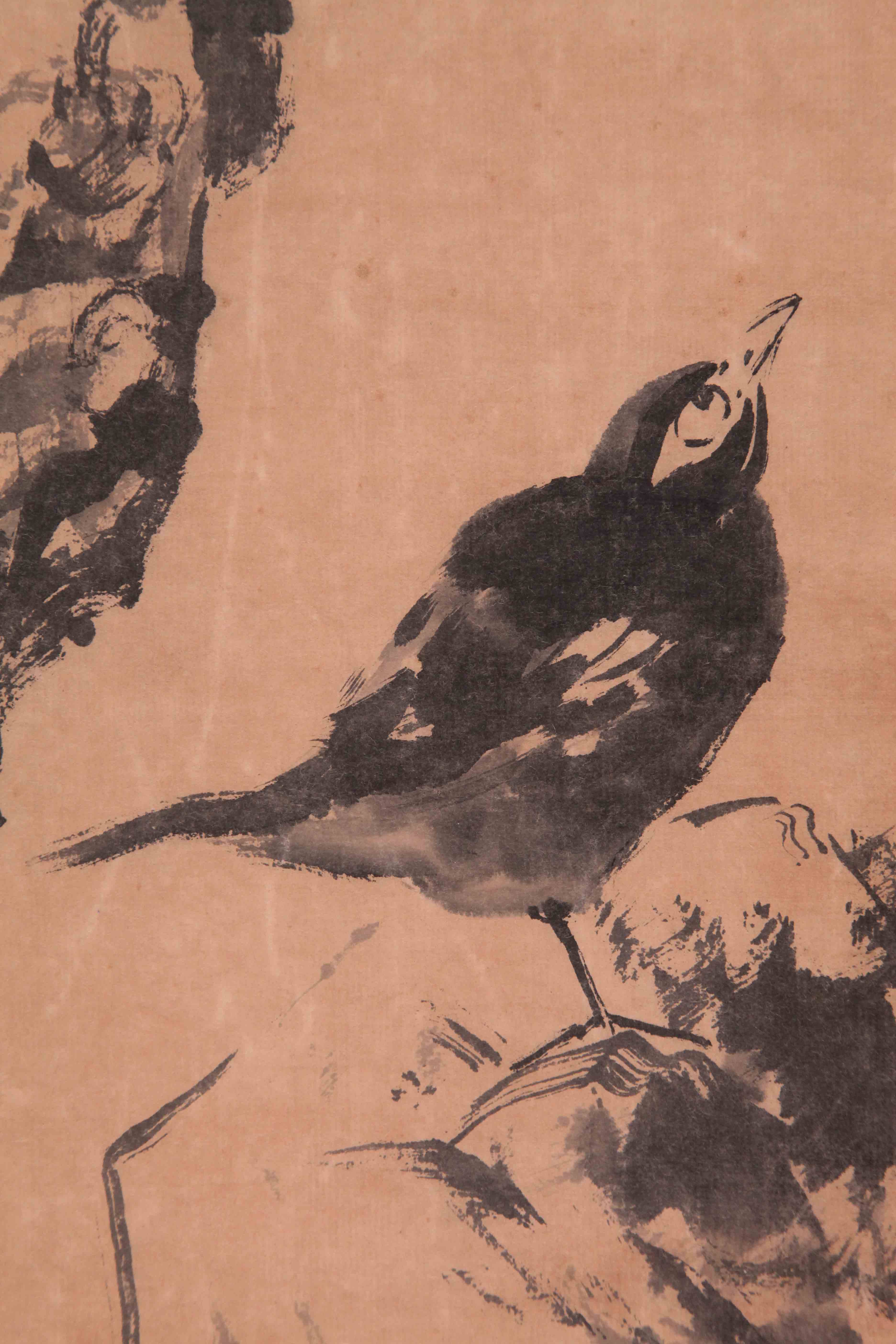 八大山人(款) 《松石小鸟》