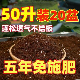 营养土养花专用通用型多肉花土种花种菜家用有机土壤种植花泥进口