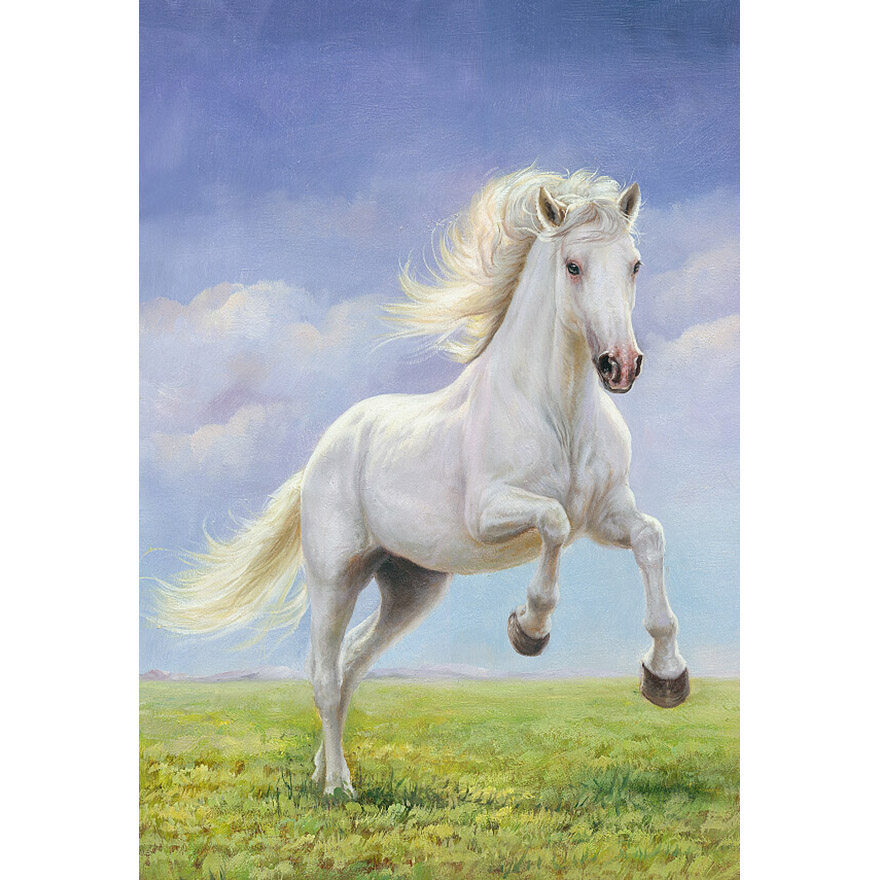 林树新《白马》海艺创国际