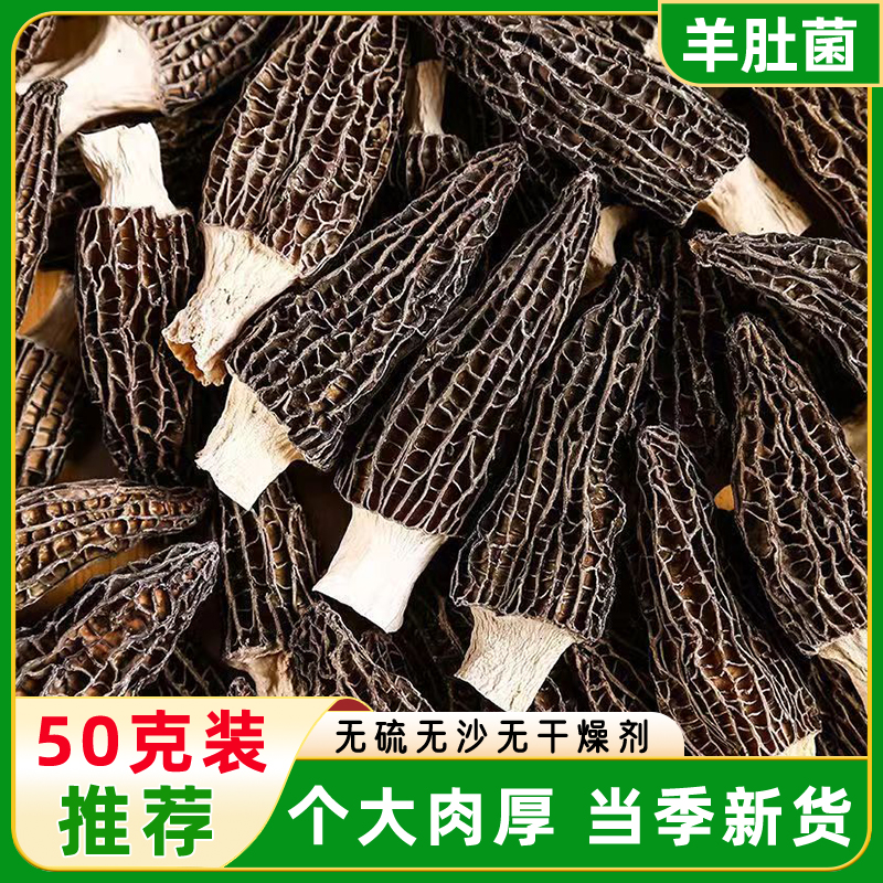 特产新货羊肚菌干货50g剪根无硫非